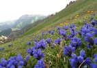 Тарбағатай – табиғаттың баға жетпес қазынасы