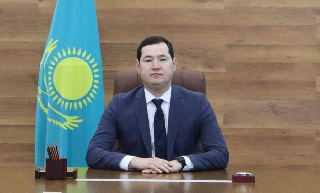 бөлім басшысы