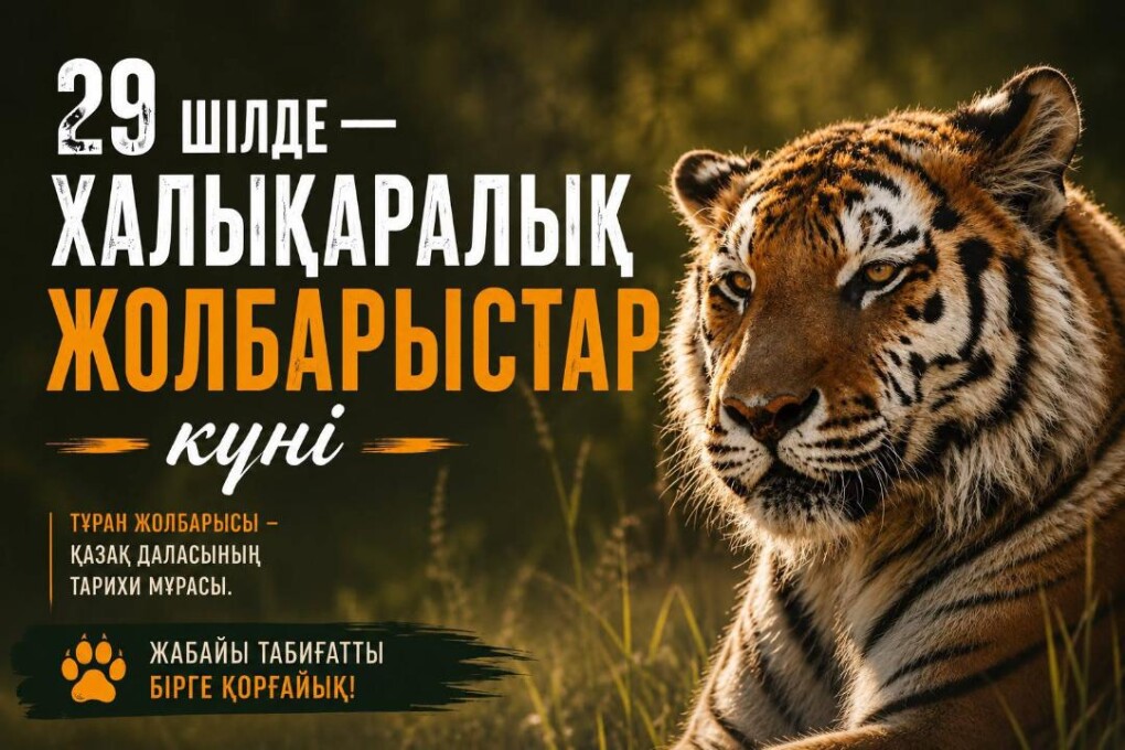 c042ea4611cb603d3900cba628c0846f_1280x720