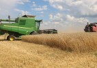 Өңір жоғары өнімнен үмітті