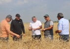 Тасқалада орақ науқаны қарқын алды: Аудан әкімі егіс алқабын аралады