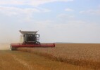 Қазақстанда егін жинау науқаны жоғары өнімділікпен басталды