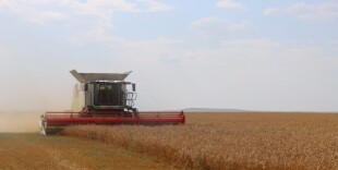 Қазақстанда егін жинау науқаны жоғары өнімділікпен басталды