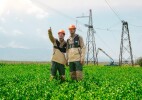 Жасанды интеллект агенттері Қазақстанның Бірыңғай электр энергетикалық жүйесін басқаруға көмектесуде
