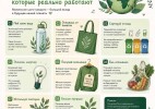 Эко-привычки — основа устойчивого будущего