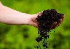 Топырақтағы артық ылғал қаупінен егіс алқаптарын сақтандыруға өтінім қабылдау мерзімі 2026 жылғы 15 шілдеге дейін ұзартылды