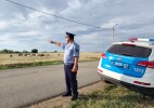 Қараусыз мал қайғылы оқиғаға себеп болмасын!
