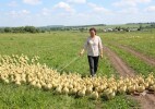Ащысайлық кәсіпкер 1500 басқа арналған қаз фермасын іске қосты