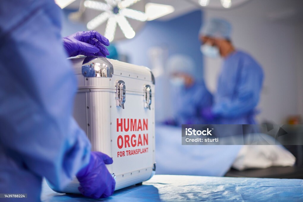organ transplant surgery