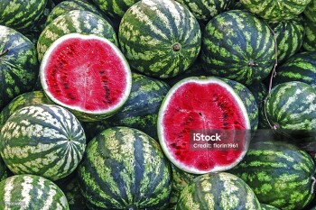 "Lot of watermelon on sale, with one cut into two pieces"