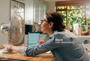 Woman, fan and laptop in home with heat wave as freelance copywriting for remote work, email or kitchen. Female person, over heating and hot weather in apartment with appliance, cool air or summer