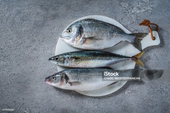 A selection of fresh seabass, mackerel, and sea bream is showcased on a white cutting board against a gray kitchen table, highlighting their healthy, protein-rich profiles and Omega-3 content.