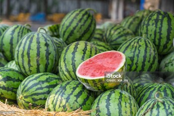 Fresh watermelons on a street fruit stall in summer