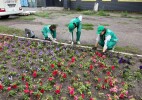 «Жасыл ел» жасақтары жарап тұр