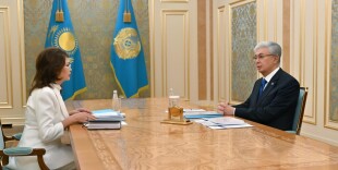 Глава государства принял заместителя Премьер-министра – министра культуры и информации Аиду Балаеву