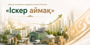 «Іскер аймақ»: на поддержку малого бизнеса направлен 21 млрд тенге