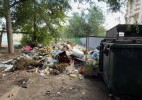 Экоконтроль усилен