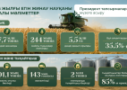 Қазақстанда 7,7 млн тонна астық жиналды: келіп түскен бидайдың 78%-ы үшінші сыныпқа жатады