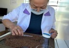 Более 113 тонн зараженной сельхозпродукции не допущено на рынок Казахстана