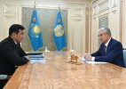 Глава государства принял председателя правления холдинга «Байтерек» Рустама Карагойшина