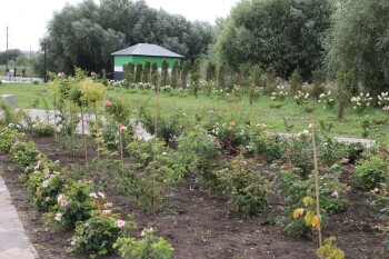 Ботанический сад - Каткова (2)