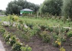 В Уральске открылся Ботанический сад