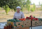 Сайлау күнгі жәрмеңке