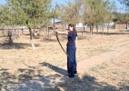 Бөкей ордасында сайлау ұлттық ойындармен сабақтасты