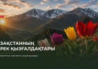 Бір тұтас гүлдің артында — бір тұтас табиғи тарих