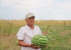Он гектардың олжасы