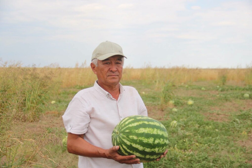 Он гектардың олжасы
