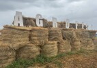 БҚО-да AGROFEST – 2026 өтіп жатыр