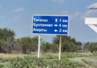 БҚО-ның Тоғанас ауылында кәсіпкер бекіре тұқымдас балық өсіріп отыр