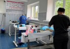 В Уральске прошла акция по бесплатной стерилизации домашних и бездомных животных при поддержке фонда  Бриджит Бардо