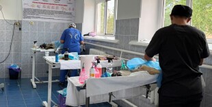 В Уральске прошла акция по бесплатной стерилизации домашних и бездомных животных при поддержке фонда  Бриджит Бардо