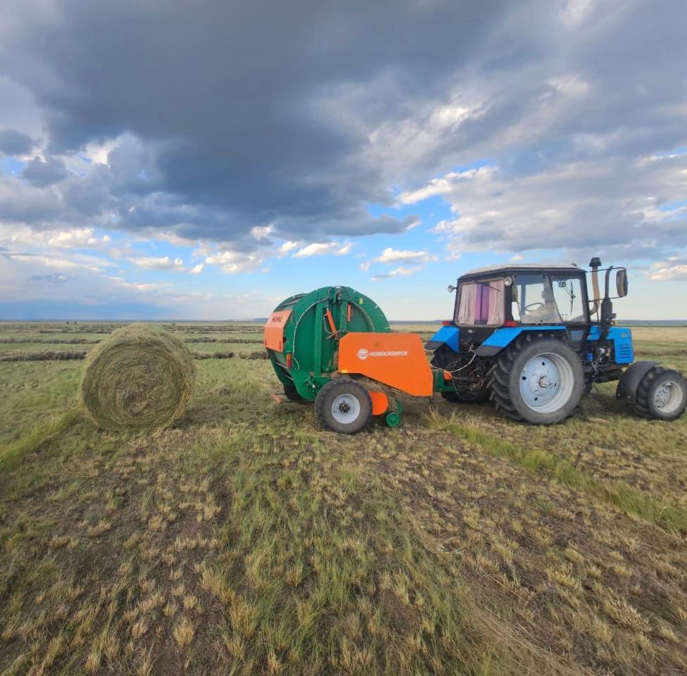 image-08-08-26-03-06