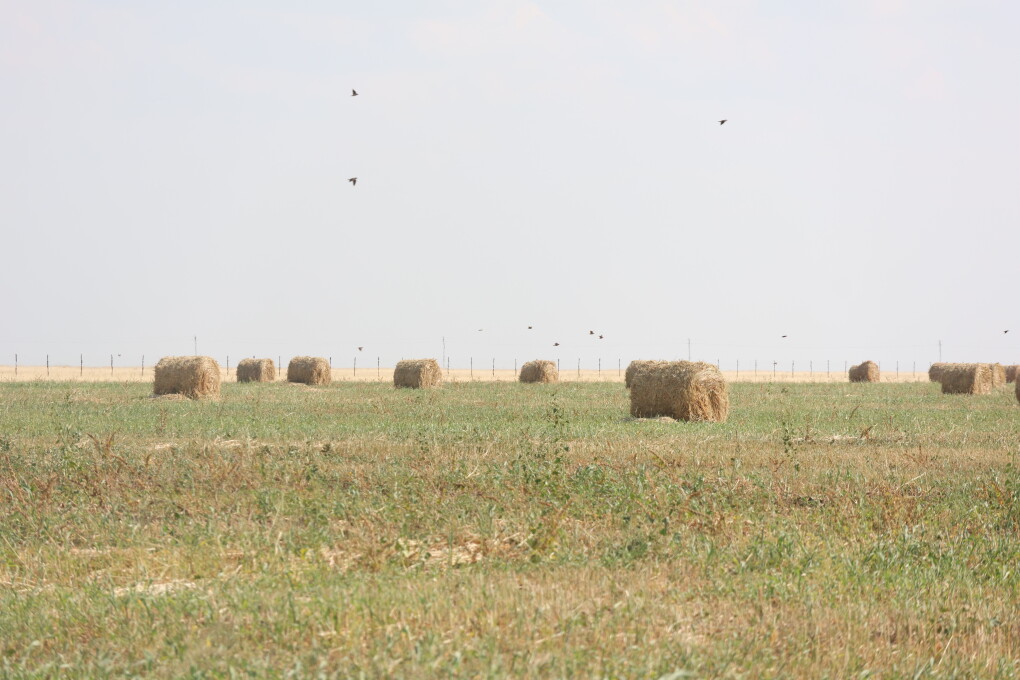 image-18-08-26-04-26