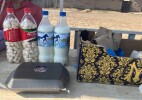 Қошанкөл ауылында жергілікті өнім өндірушілердің қатысуымен жәрмеңке өтті