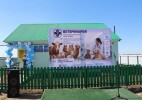Қазталов ауданы: Талдыапан, Қараоба және Нұрсай ауылдарында ветеринариялық пункт ашылды