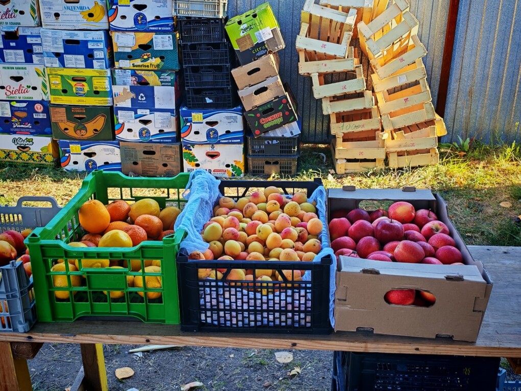 image-29-08-26-08-35 (2)