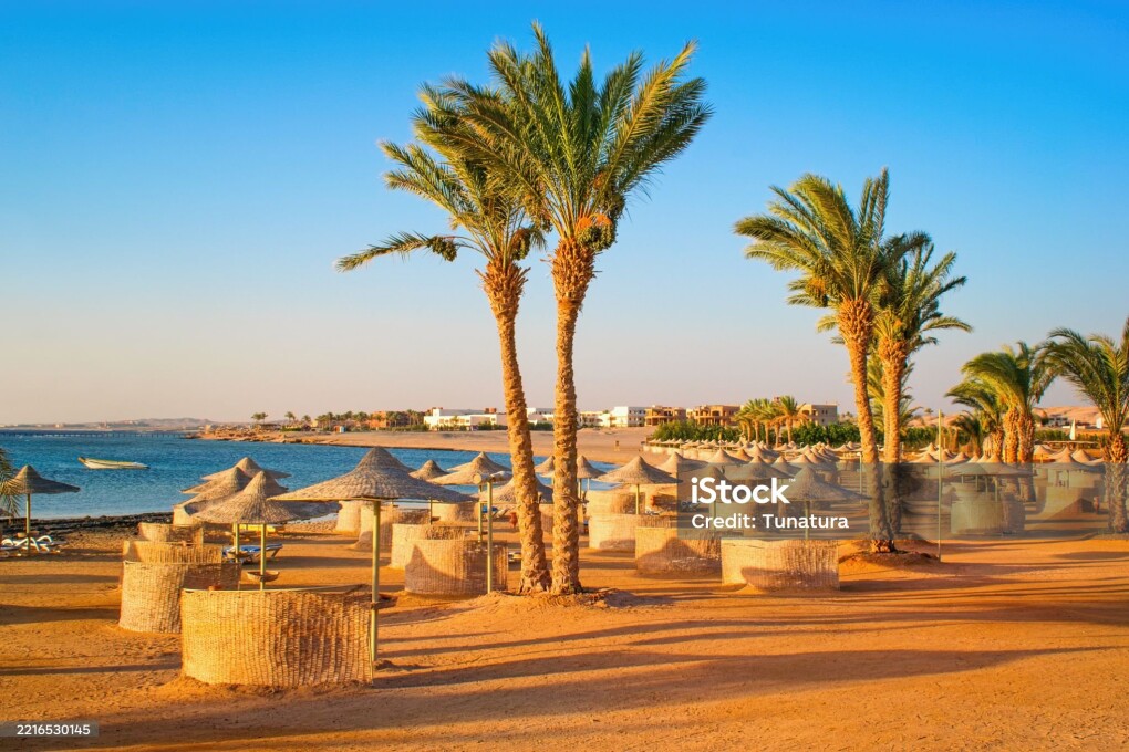 Idylic beach with palms and sun umbrelas, Red Sea, Egypt