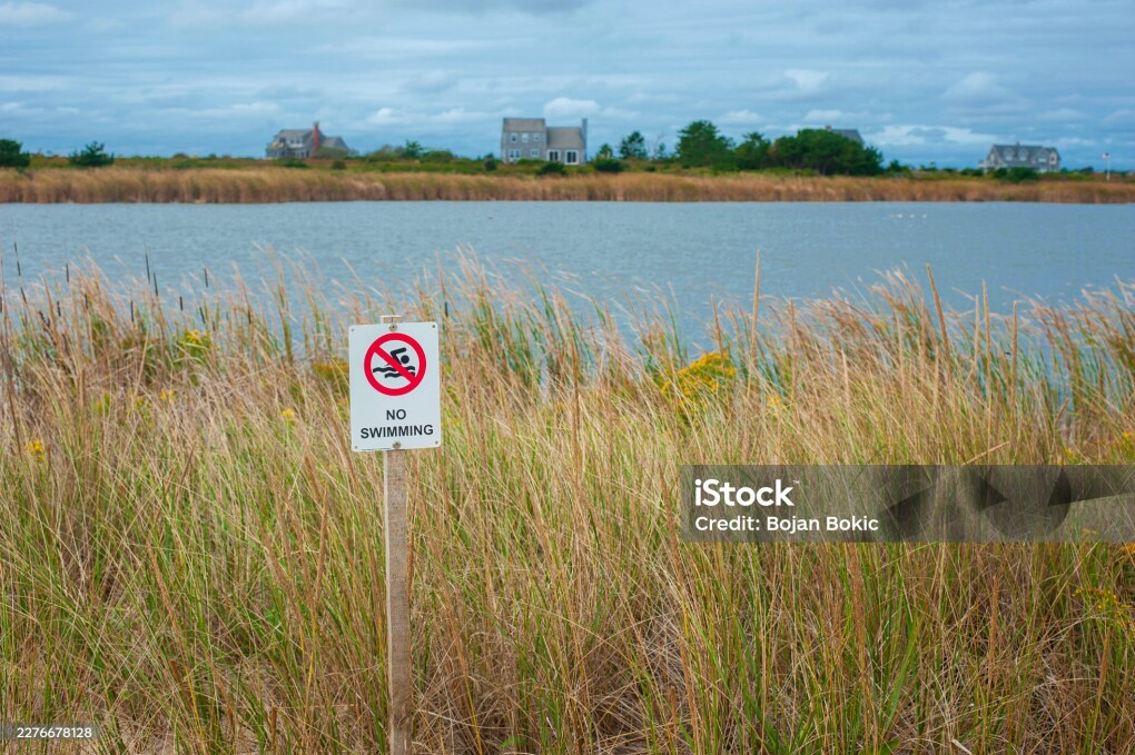 Red and white no swimming sign is posted next to a green lake. The sign has a swimmer icon with a red line crossing it out, indicating a ban.