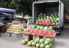 «Бақша байлық» саудасы  қызды...