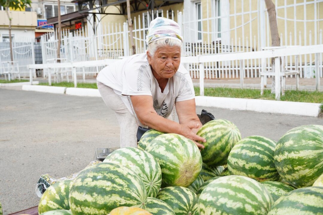 жп қарбыз (2)