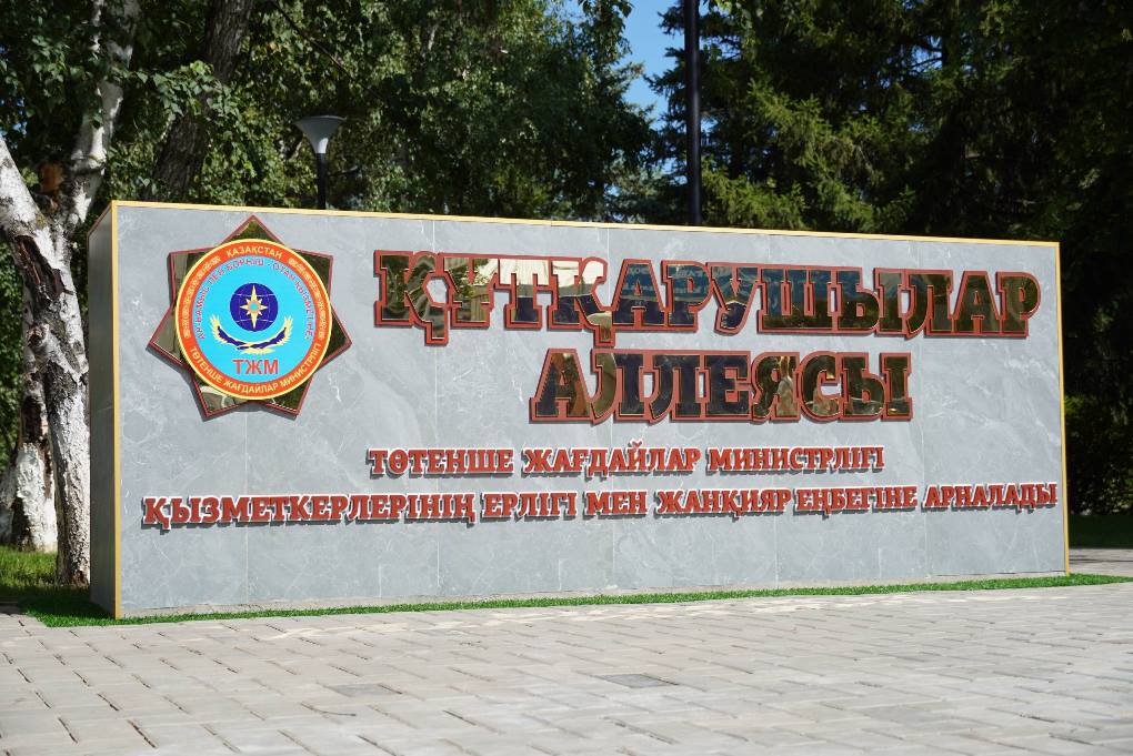 жп құтқарушылар аллеясы (5)