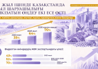 Президент Жолдауын жүзеге асыру: ауыл шаруашылығы шикізатын өңдеу үлесі екі есеге жуық артты