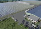 В Алматинской области реализуется проект по развитию тепличного производства на 18,1 млрд тенге