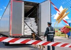 Пресечен незаконный ввоз и транзит 107 тонн подконтрольной продукции