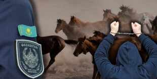 В ЗКО полиция задержала подозреваемых в хищении скота на 5,5 млн тенге