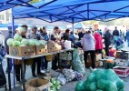 «Дала дәмі» жәрмеңкесі жаңаша сипатта өтеді